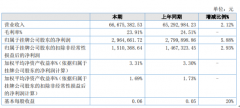 绿宝石2020年上半年净利296.47万增长电解电容5.88%高压高容量固态电容器市场份额