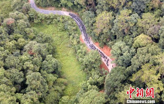 图为来自武警福建总队三明、龙岩、南平支队100余名特战队员在福建省三明市永安�揲瞪娇�展特战极限练习。　罗武 摄